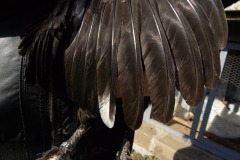 10.Slabší opeření běháků, záběl