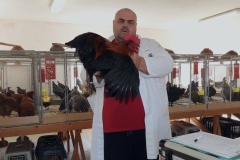 photostudio_1633806715971