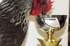 photostudio_1633805550807