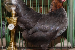 photostudio_1633805697575