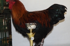 photostudio_1633805962978