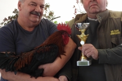 photostudio_1633849441481